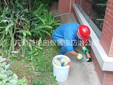 同和施药灭鼠工程